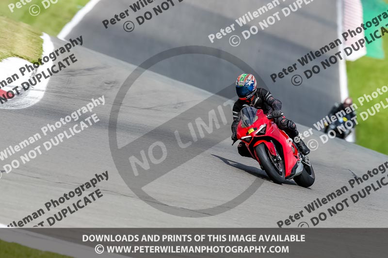 PJ Motorsport 2019;donington no limits trackday;donington park photographs;donington trackday photographs;no limits trackdays;peter wileman photography;trackday digital images;trackday photos